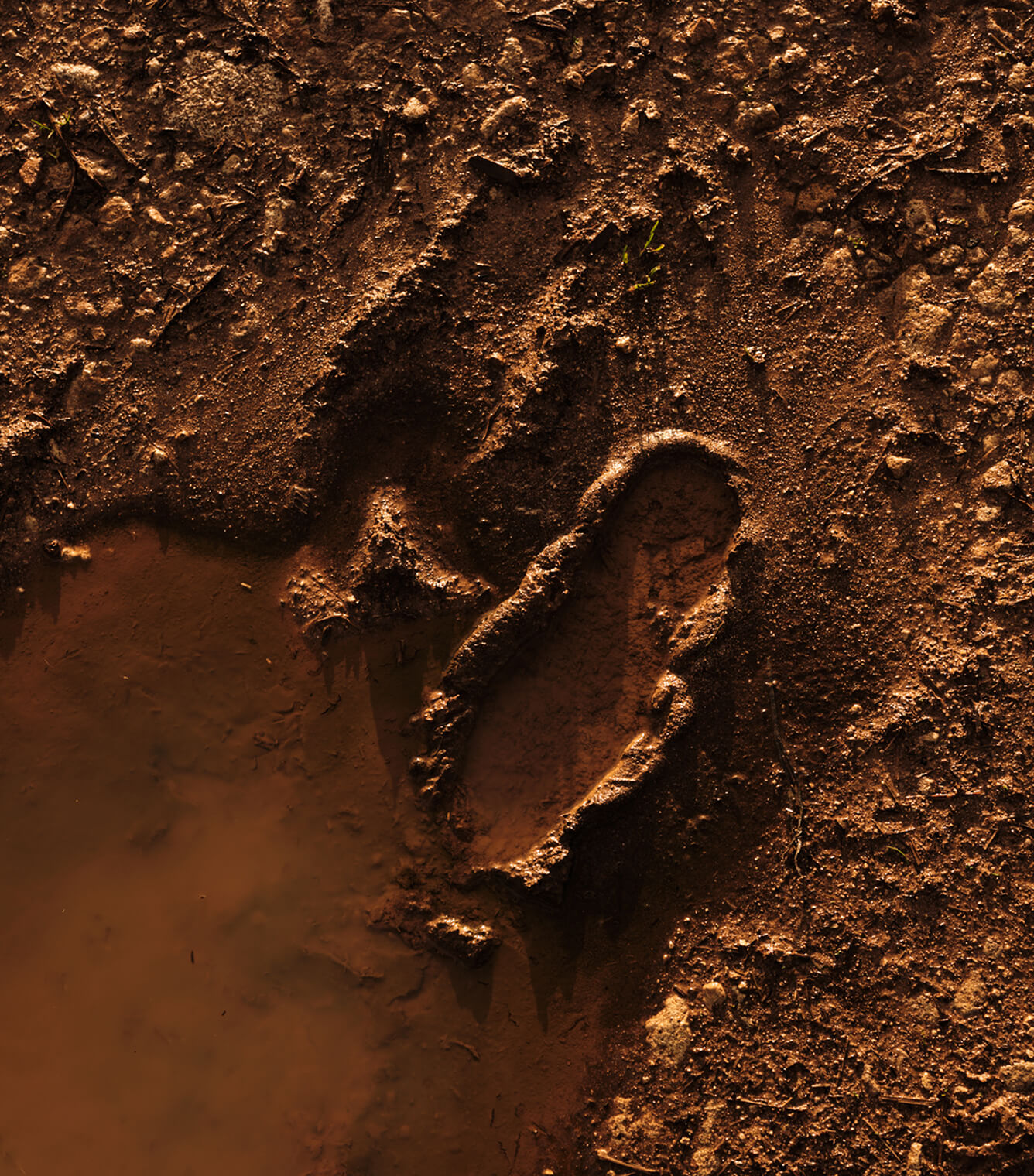 Tile 2