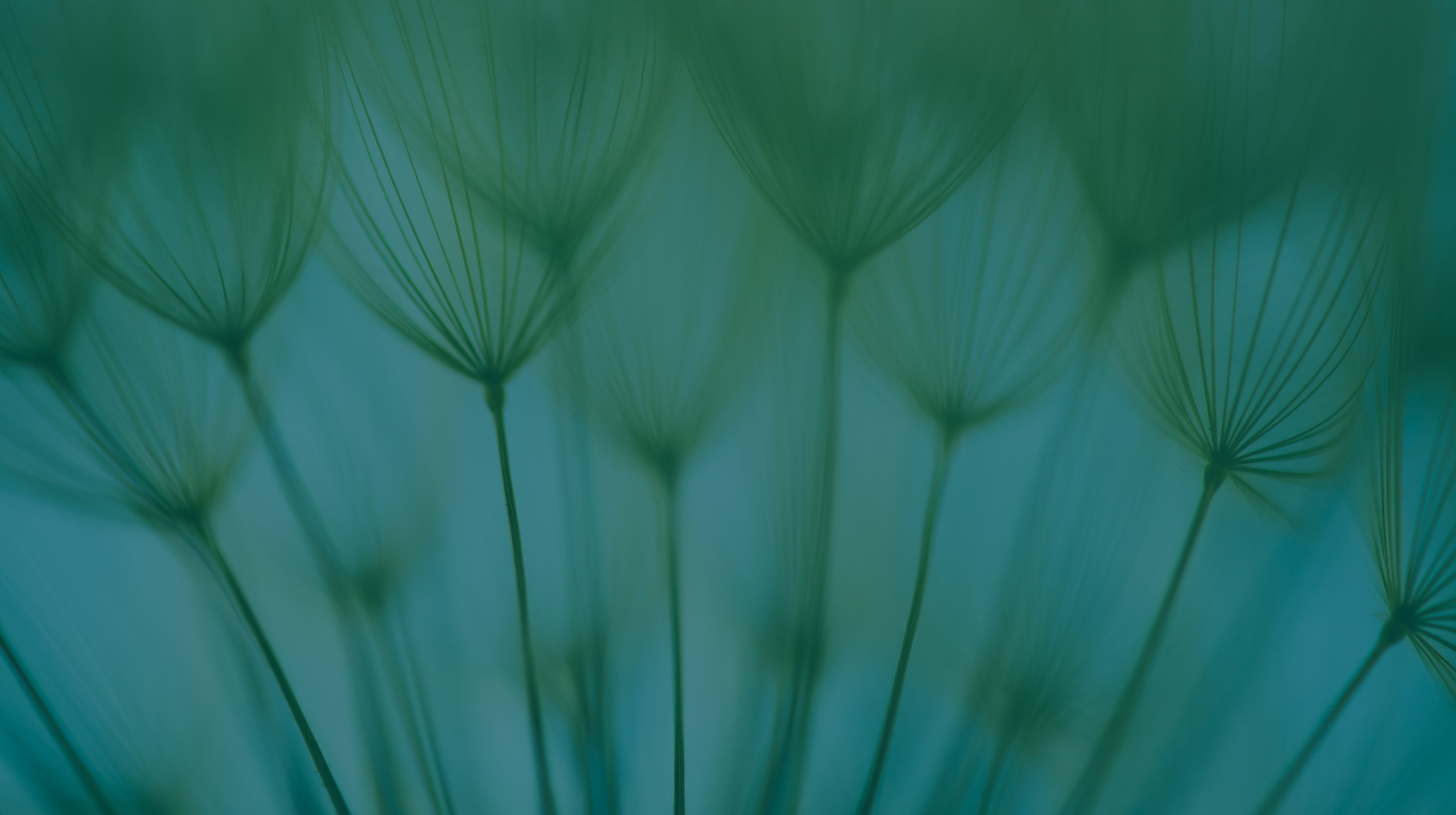 Integrating nature in investments
